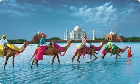 Services Provider of Agra To Jaipur